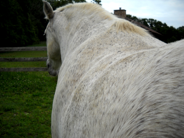 Kurt's sides are lumpy despite years of taking thyroid supplements to boost his metabolism.